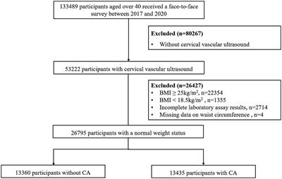 Comparison of seven surrogate insulin resistance indexes for predicting the prevalence of carotid atherosclerosis in normal-weight individuals